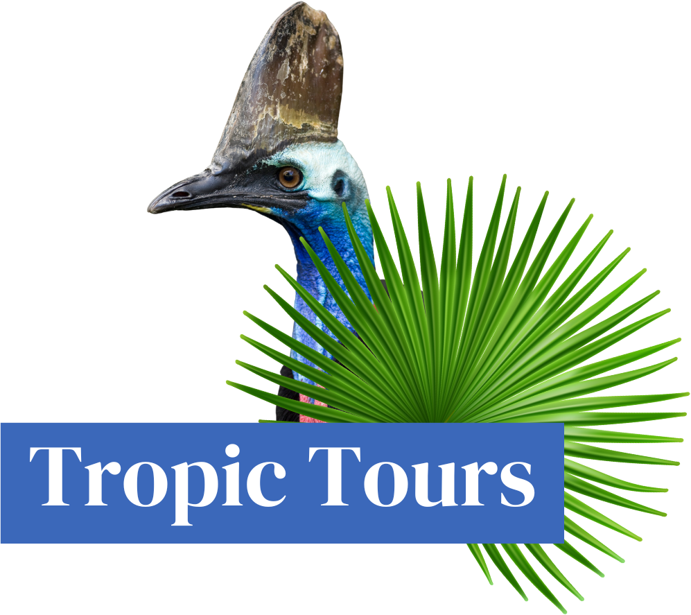 Private Tours Far North Queensland